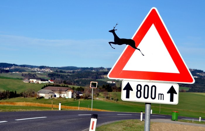 deer-crossing-4933887_1920.jpg